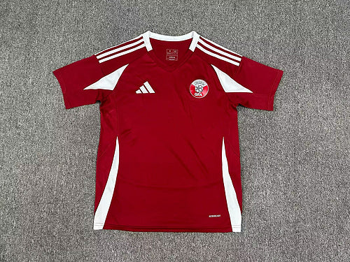 Qatar home