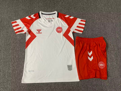 Denmark away kid