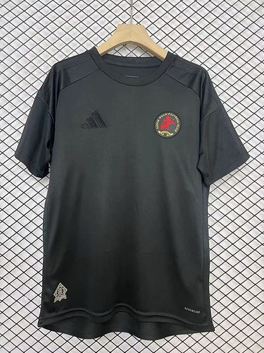 Aston Villa